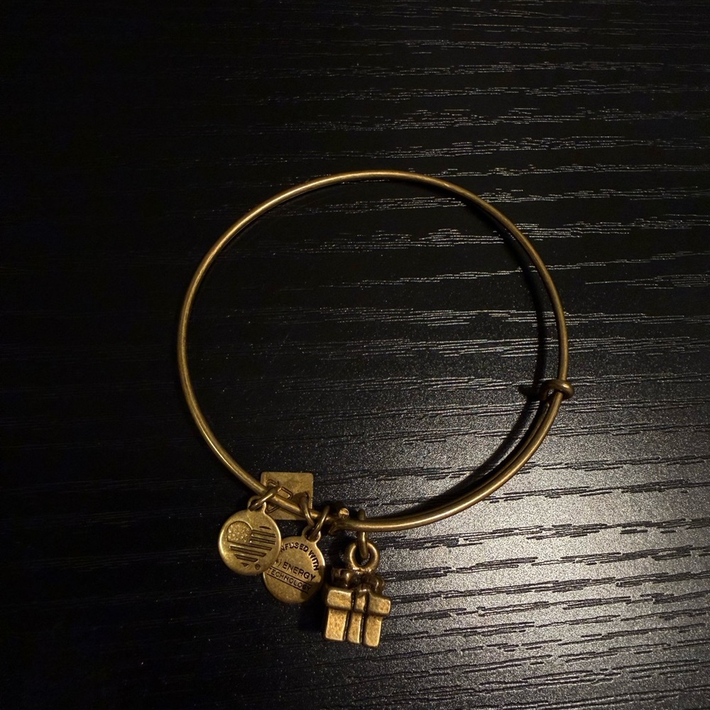 Alex and Ani Gold Gift/Present Charm Bracelet